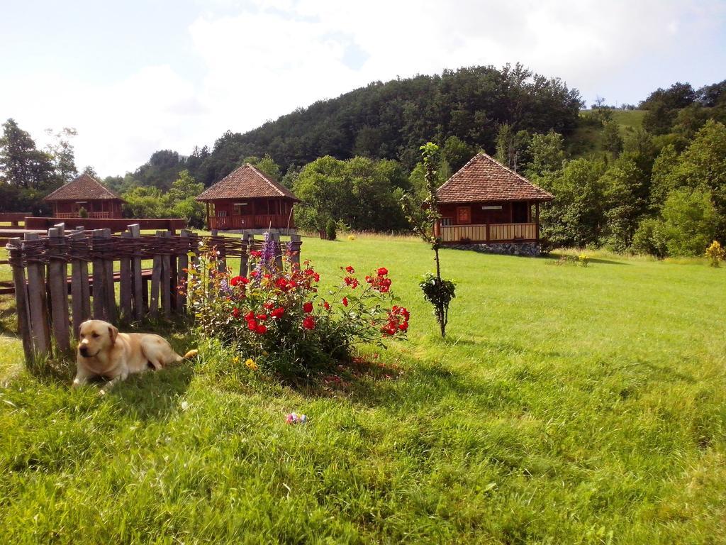 Etno Village Gostoljublje Kosjeric 外观 照片